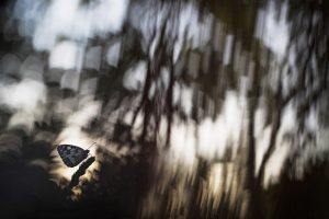 Dans la Tourmente - Thomas Delahaye