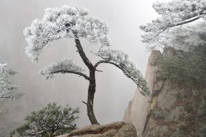 Huang Shan #2 - Emmanuel Boitier