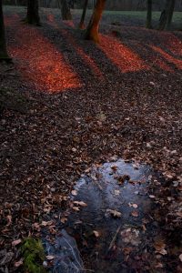 À l'emplacement du village de Fleury-devant-Douaumont. Zone centrale du Champ de bataille. - © Jacques Grison