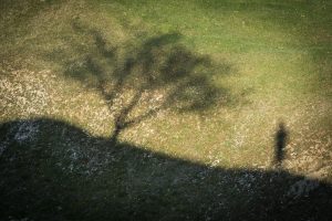 Angle nord-est du fort de Vaux. Zone nord-est du Champ de bataille. - © Jacques Grison