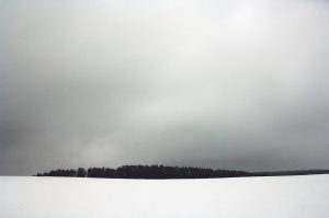 En première ligne au bois d'Haumont, sur le rebord des Hauts de Meuse, face aux positions allemandes d'où parti l'offensive du 21 février 1916. - © Jacques Grison