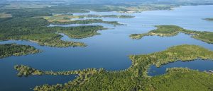 Lac du Der, histoires d'arbres - Pascal Bourguignon