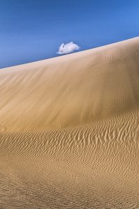 Montier Photo Festival