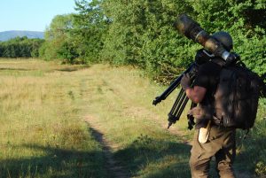 Montier Photo Festival