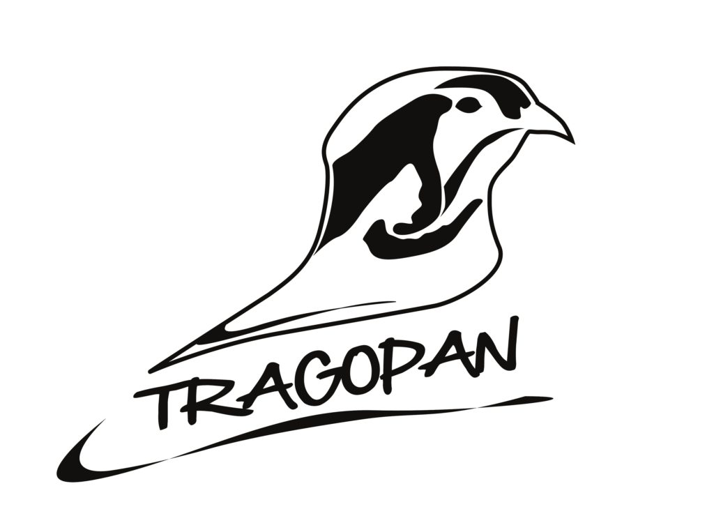179_tragopan-logo.jpg -