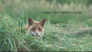 l' odeur de l'herbe coupée - franck vigna