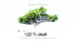 Passion Nature - 20 ans de photographie - Christine et Michel Denis-Huot - Chasseur d'Images