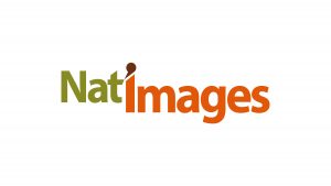 Logo Nat'Images - Chasseur d'Images