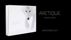 Arctique - Vincent Munier - Chasseur d'Images