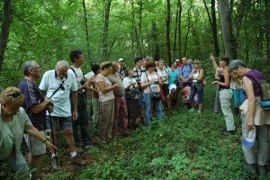 Montier Photo Festival