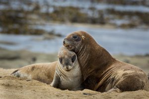 Montier Photo Festival
