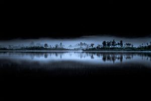 Ligne de brume - Guillaume Bily