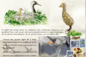 Livret - Eric Michalet