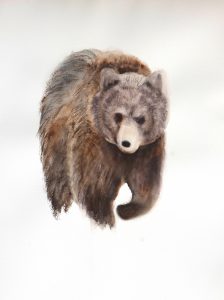 Ours - libre