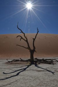 Dead Vlei désert du Namib - Namibie - Patrick Baudin