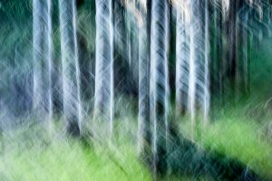 Natural vibration - Jérôme Pruniaux