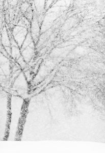 Flocons - Zanino Jean-Louis