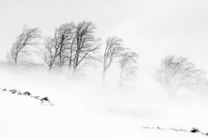 Le vent - Zanino Jean-Louis