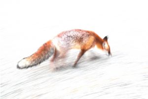 Mon cœur s'enflamme sur le Ventoux - Nicolas Ughetto