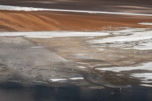 REFLETS - Beatrix Walter