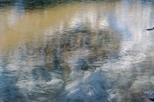 ICE - Beatrix Walter