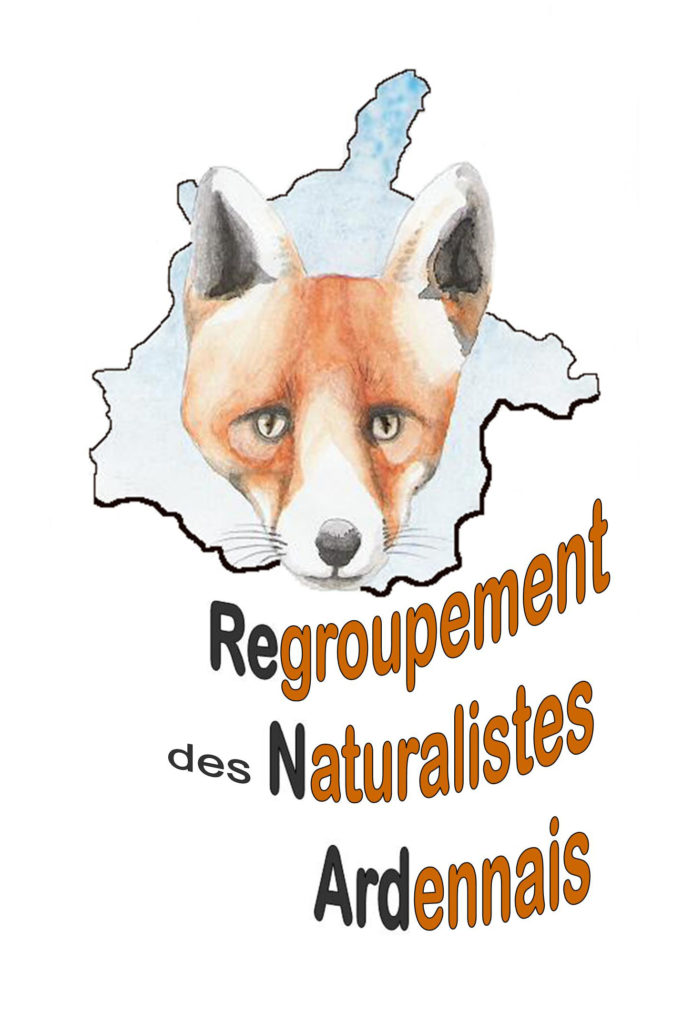 60_logo-renard.jpg -