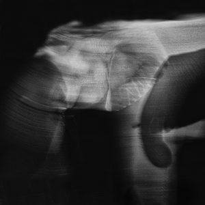 Montier Photo Festival