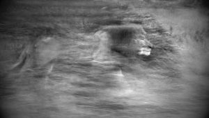 Montier Photo Festival