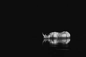 Montier Photo Festival