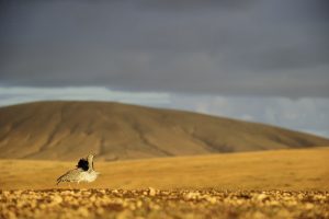 Montier Photo Festival