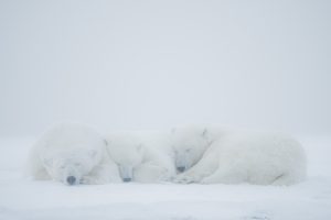 Montier Photo Festival