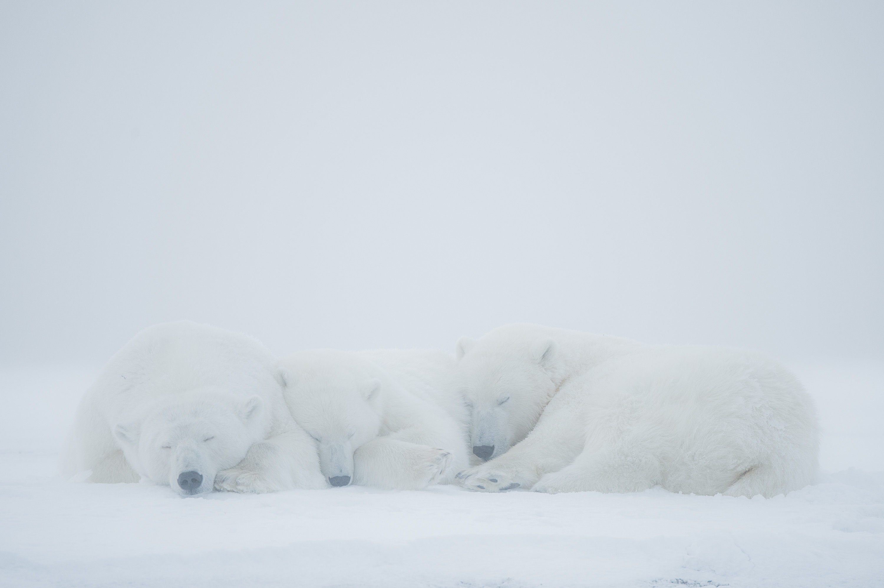 Sieste en famille -