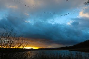 Montier Photo Festival
