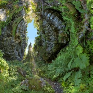 Sur le chemin d'Eden - Patrick Jacquet
