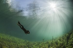 Small diver - Yannick Gouguenheim