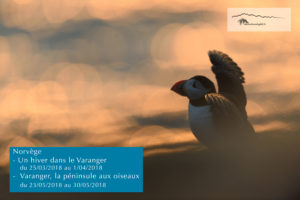 Varanger - Norvège - Patrick delieutraz