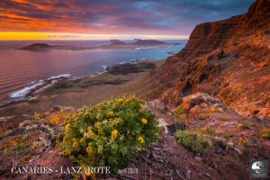 Canaries, Lanzarote, voyage photo - © Patrick Dieudonné Photo