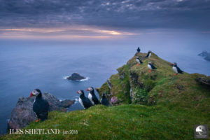 Shetland, voyage photo - © Patrick Dieudonné Photo