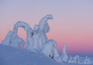 Retour du soleil en Laponie - © Aventure Arctique