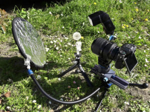 Phototem, Photo & Nature - Phototem, Photo & Nature