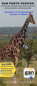 GIRAFE - SERGIO SANNA