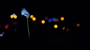 Nuit de L''Apollon - Thomas Delahaye