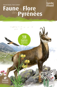 Guide visuel - Faune et Flore des Pyrénées - Editions Biotope