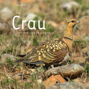 Crau, dernière steppe pierreuse - Alain SCHALL