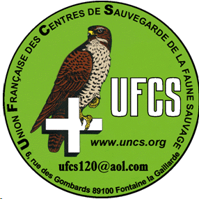 215_logo.gif -