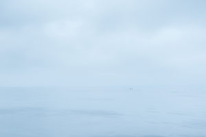 Dans le silence de la mer - Guillaume Bily
