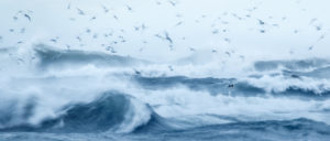 En pleine tempête - Guillaume Bily