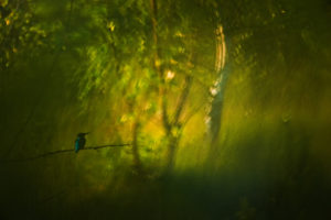 L'heure du conte - GDTEWPY 2016, Klaus Tamm - Allemagne