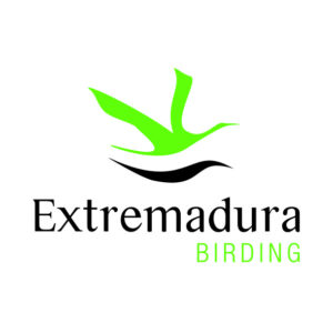 260_extremadura-logo.jpg -