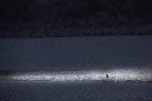 Spotlight - © Fabien Bruggmann